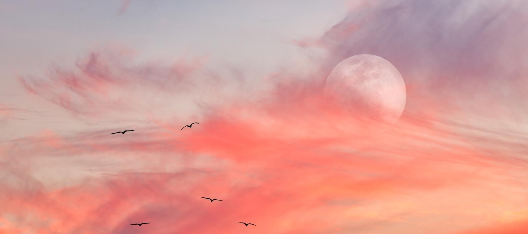 Paradise Found Full Moon in Leo Wednesday 2/16/2022 at